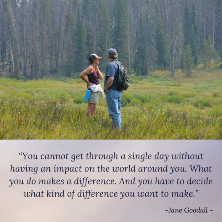 Revelation Blog by Karen B. Shea Jane Goodall Quote
