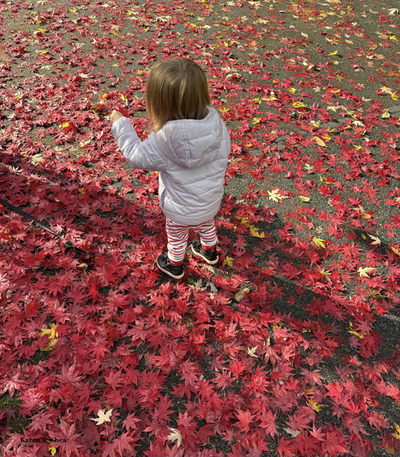 Kids connecting with Nature